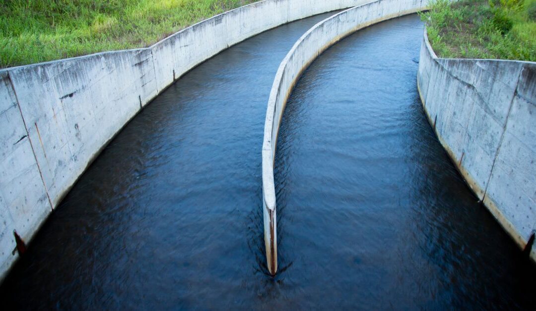 What causes blocked drains, and how to clean them?