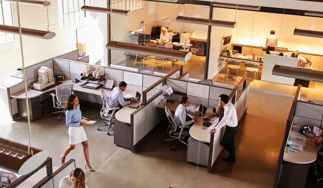 Office partitions: functions, types and selection rules. Types of enclosures for offices Design of different types of cells for offices