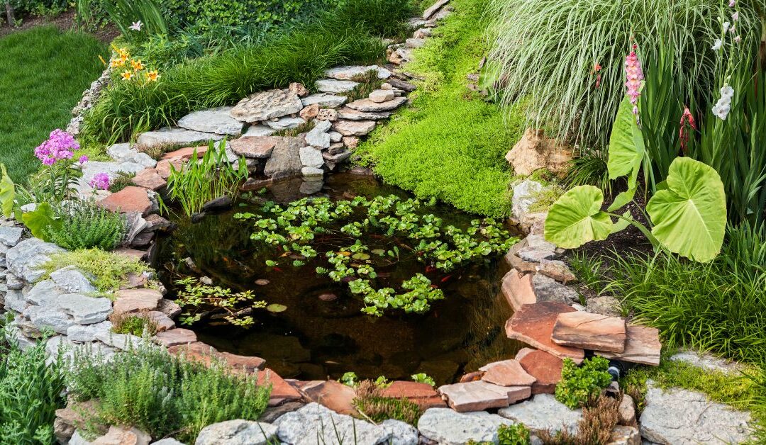 Pond Drum Filters and their types