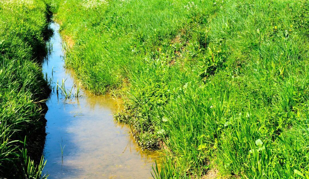 Why Maintenance of Drains Vital? Drainage Services Bedford