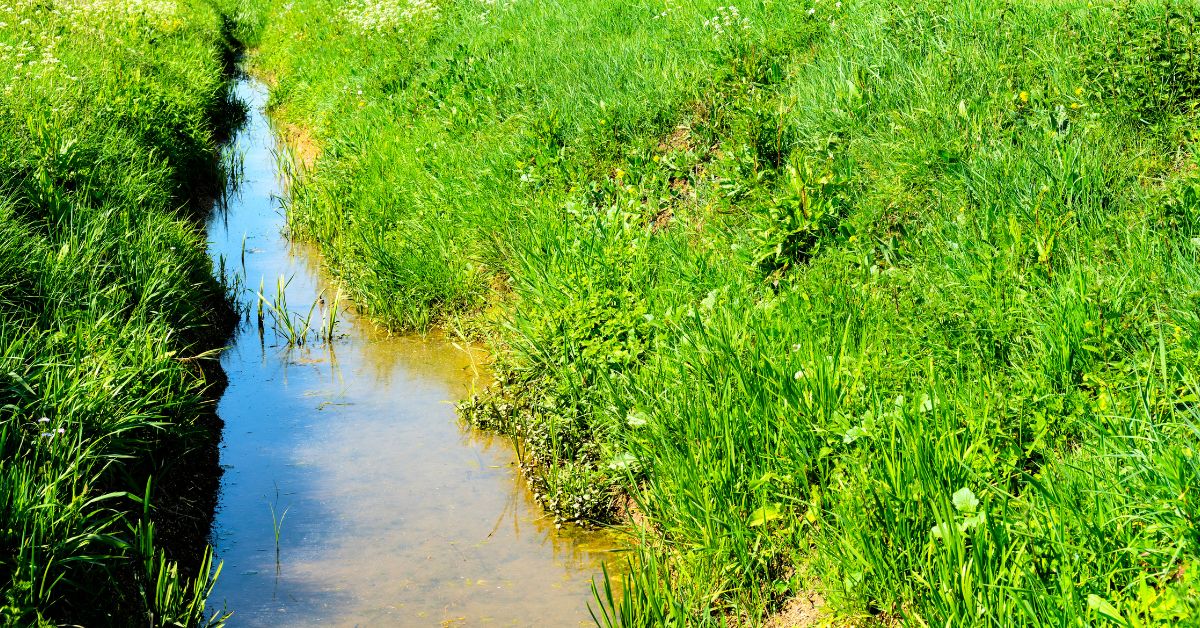 Drainage Services Bedford Drainage Services Bedford