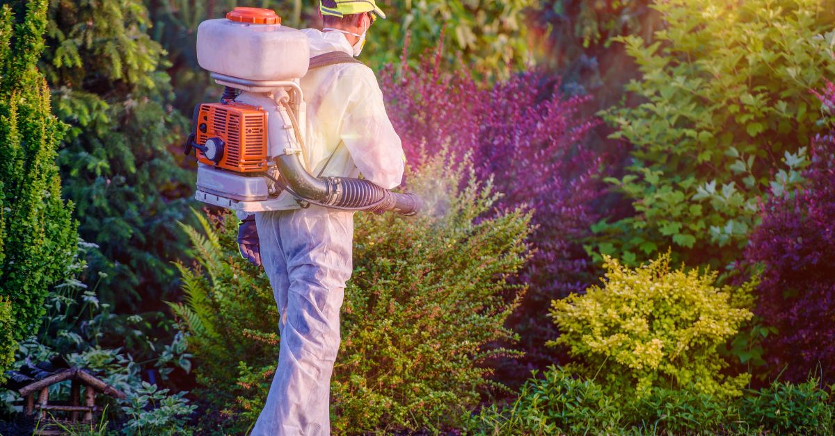 Pest Control Ashford Pest Control Ashford