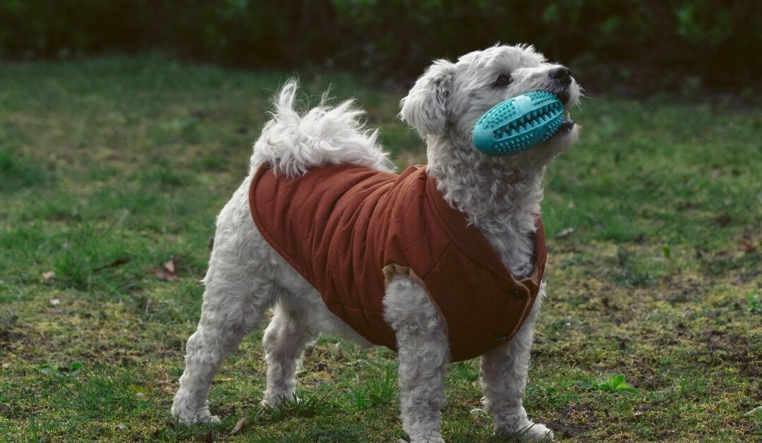 How well do Ruff and Tumble Drying Coats work?