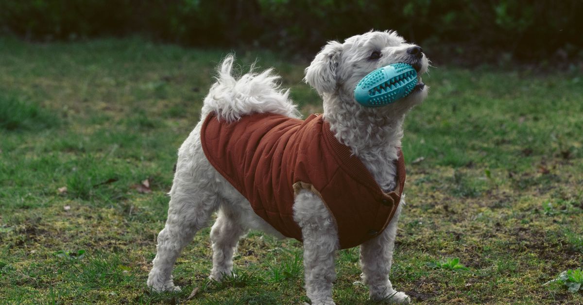 Ruff and Tumble Drying Coats