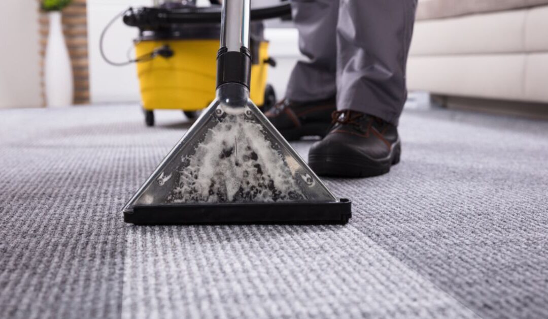 5 Reasons Why Commercial Carpet Cleaning Is Necessary