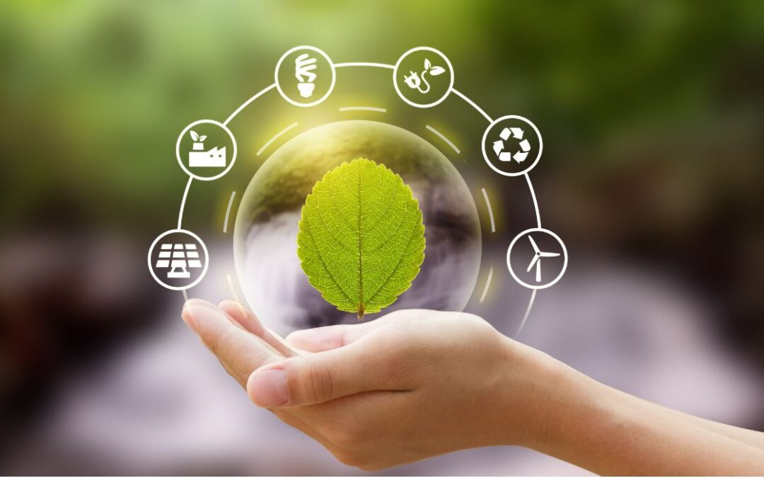 The Complete Guide to Environmental Auditing and How it Can Help Protect the Environment