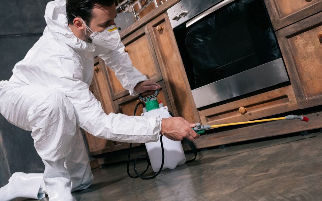 The Ultimate Guide to Pest Control in Middlesex County: How to Safely Get Rid of Insects and Rodents