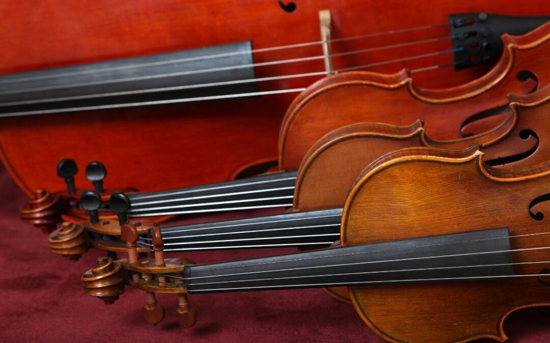 Essential Musical Accessories Every Stringed Instrument Player Should Have