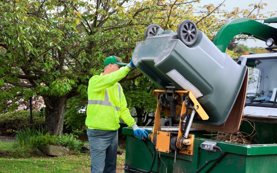 Everything You Need to Know About 14-Yard Skip Dimensions