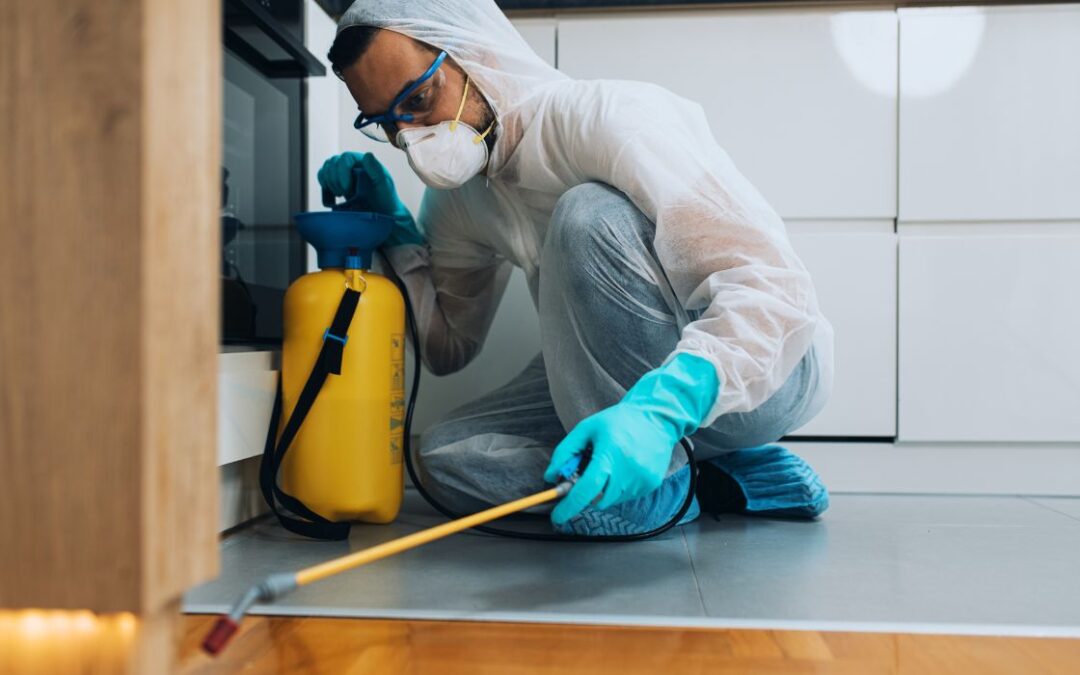 The Ultimate Guide to Pest Control Services in Middlesex County
