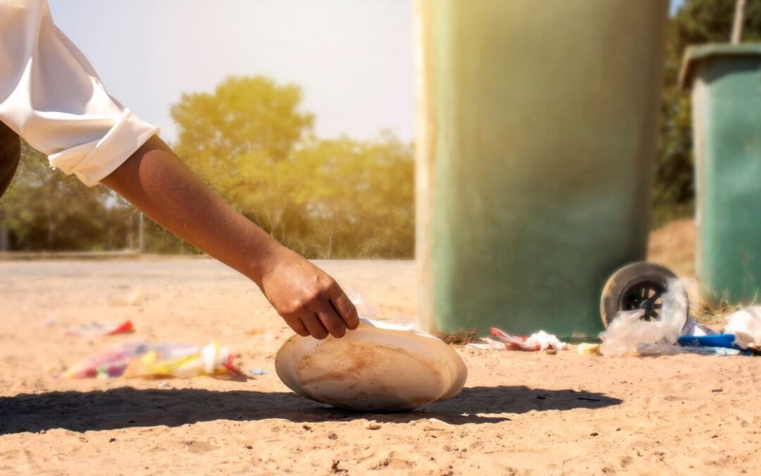 What are Pick-Up Skips and How Can They Help with Waste Disposal?