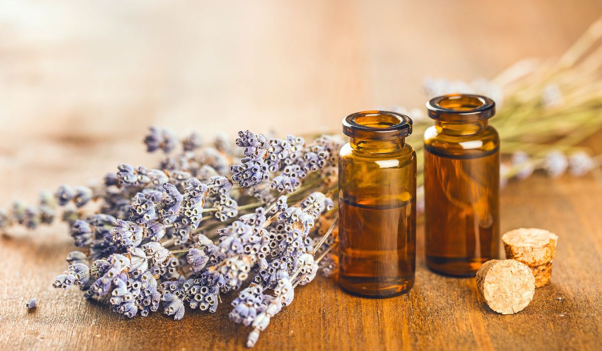 freshness and delightful scents